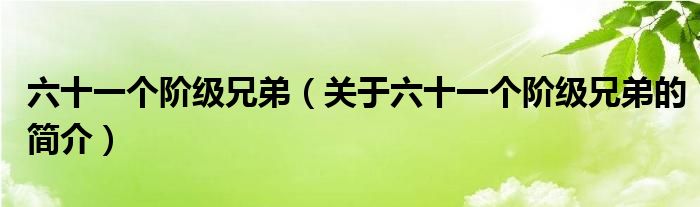 六十一個階級兄弟（關于六十一個階級兄弟的簡介）