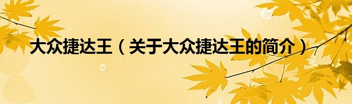 大眾捷達王（關于大眾捷達王的簡介）