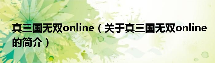 真三國無雙online（關于真三國無雙online的簡介）