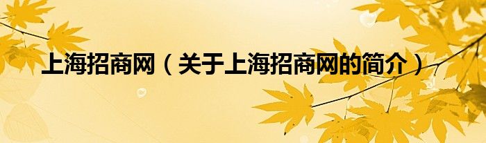 上海招商網(wǎng)（關(guān)于上海招商網(wǎng)的簡(jiǎn)介）