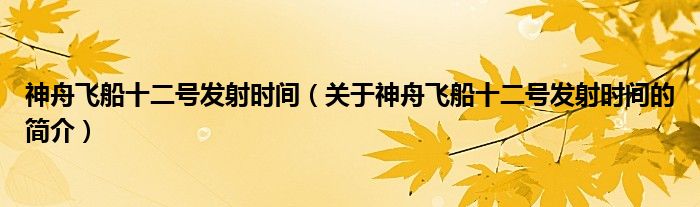 神舟飛船十二號發(fā)射時間（關(guān)于神舟飛船十二號發(fā)射時間的簡介）