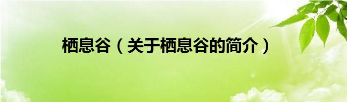 棲息谷（關(guān)于棲息谷的簡(jiǎn)介）