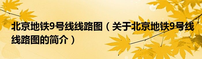 北京地鐵9號(hào)線(xiàn)線(xiàn)路圖（關(guān)于北京地鐵9號(hào)線(xiàn)線(xiàn)路圖的簡(jiǎn)介）