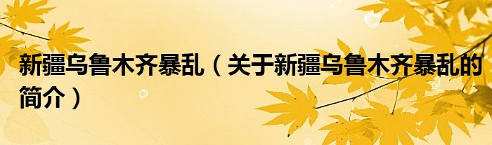 新疆烏魯木齊暴亂（關于新疆烏魯木齊暴亂的簡介）