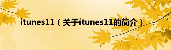 itunes11（關(guān)于itunes11的簡介）