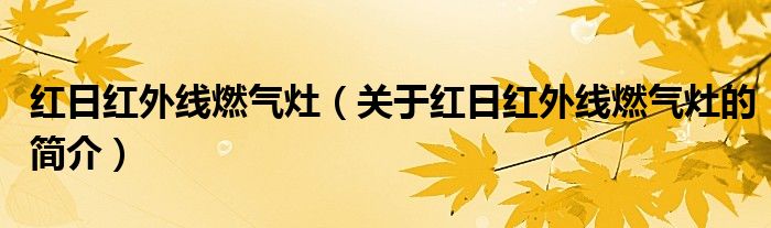 紅日紅外線燃?xì)庠睿P(guān)于紅日紅外線燃?xì)庠畹暮?jiǎn)介）