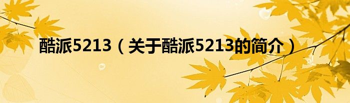 酷派5213（關(guān)于酷派5213的簡(jiǎn)介）