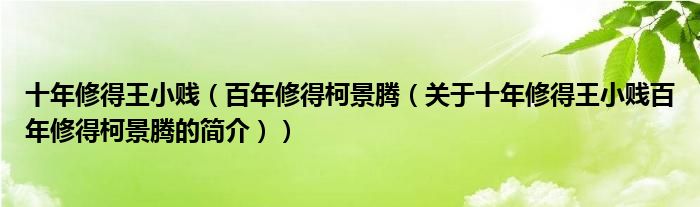 十年修得王小賤（百年修得柯景騰（關(guān)于十年修得王小賤百年修得柯景騰的簡介））