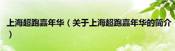 上海超跑嘉年華（關(guān)于上海超跑嘉年華的簡(jiǎn)介）