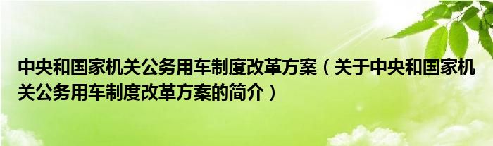 中央和國家機關(guān)公務(wù)用車制度改革方案（關(guān)于中央和國家機關(guān)公務(wù)用車制度改革方案的簡介）