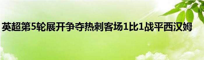 英超第5輪展開爭奪熱刺客場1比1戰(zhàn)平西漢姆