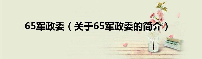 65軍政委（關(guān)于65軍政委的簡介）