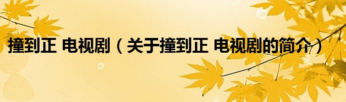 撞到正 電視?。P(guān)于撞到正 電視劇的簡介）