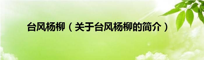 臺風(fēng)楊柳（關(guān)于臺風(fēng)楊柳的簡介）