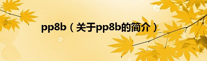 pp8b（關(guān)于pp8b的簡介）