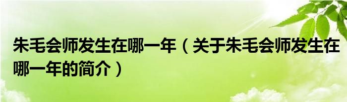 朱毛會(huì)師發(fā)生在哪一年（關(guān)于朱毛會(huì)師發(fā)生在哪一年的簡(jiǎn)介）