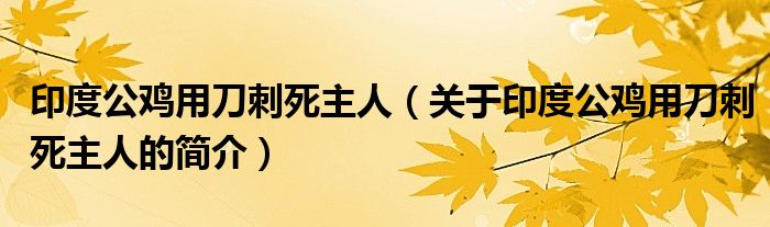 印度公雞用刀刺死主人（關(guān)于印度公雞用刀刺死主人的簡(jiǎn)介）