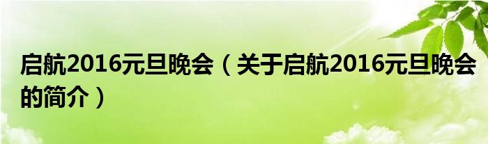 啟航2016元旦晚會（關(guān)于啟航2016元旦晚會的簡介）