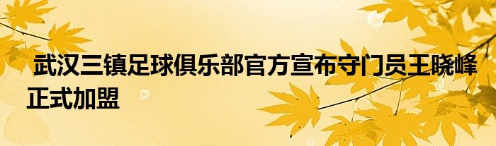  武漢三鎮(zhèn)足球俱樂(lè)部官方宣布守門員王曉峰正式加盟