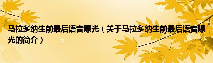 馬拉多納生前最后語(yǔ)音曝光（關(guān)于馬拉多納生前最后語(yǔ)音曝光的簡(jiǎn)介）