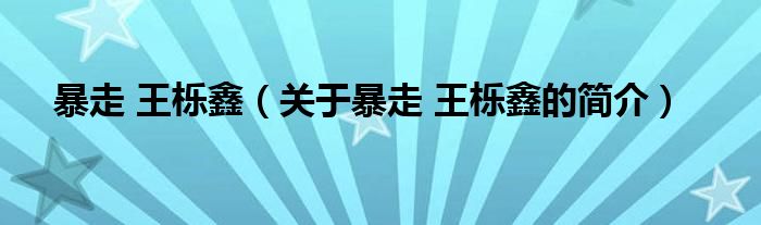 暴走 王櫟鑫（關(guān)于暴走 王櫟鑫的簡(jiǎn)介）