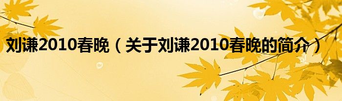 劉謙2010春晚（關于劉謙2010春晚的簡介）