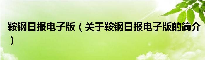 鞍鋼日報電子版（關(guān)于鞍鋼日報電子版的簡介）