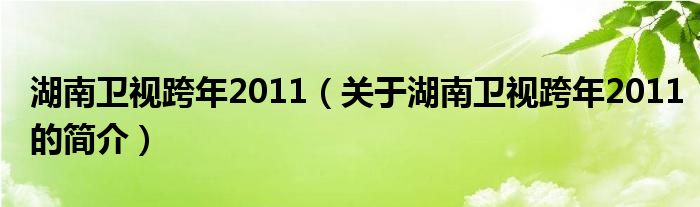 湖南衛(wèi)視跨年2011（關于湖南衛(wèi)視跨年2011的簡介）