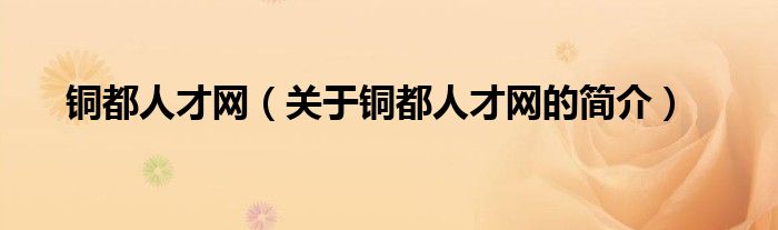 銅都人才網(wǎng)（關(guān)于銅都人才網(wǎng)的簡介）