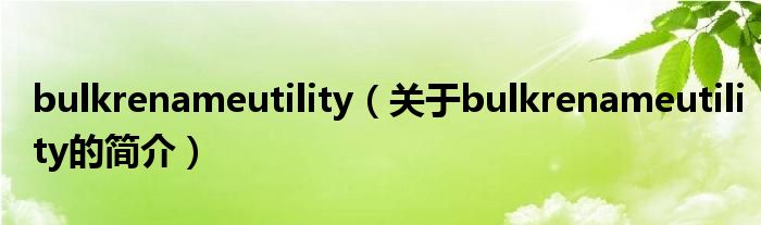 bulkrenameutility（關于bulkrenameutility的簡介）