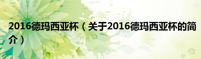 2016德瑪西亞杯（關于2016德瑪西亞杯的簡介）