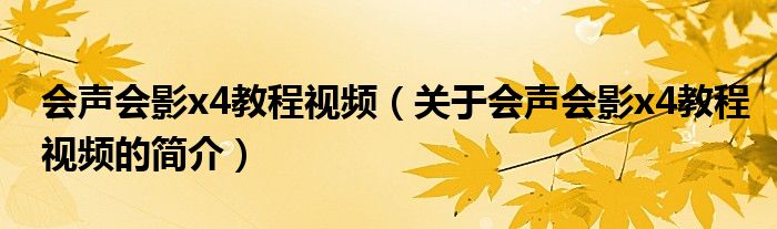 會聲會影x4教程視頻（關于會聲會影x4教程視頻的簡介）