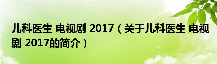 兒科醫(yī)生 電視劇 2017（關(guān)于兒科醫(yī)生 電視劇 2017的簡介）