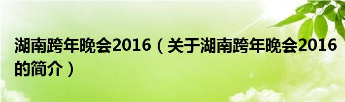 湖南跨年晚會(huì)2016（關(guān)于湖南跨年晚會(huì)2016的簡介）