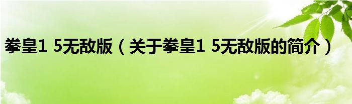 拳皇1 5無敵版（關(guān)于拳皇1 5無敵版的簡介）