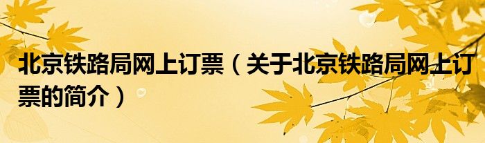 北京鐵路局網(wǎng)上訂票（關(guān)于北京鐵路局網(wǎng)上訂票的簡介）