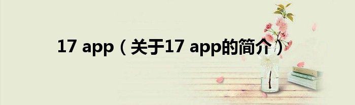 17 app（關(guān)于17 app的簡介）