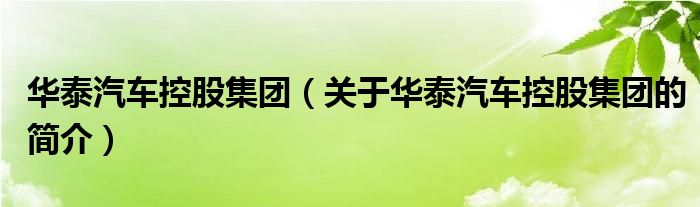 華泰汽車控股集團（關(guān)于華泰汽車控股集團的簡介）