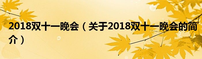 2018雙十一晚會（關于2018雙十一晚會的簡介）