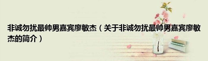 非誠勿擾最帥男嘉賓廖敏杰（關(guān)于非誠勿擾最帥男嘉賓廖敏杰的簡介）