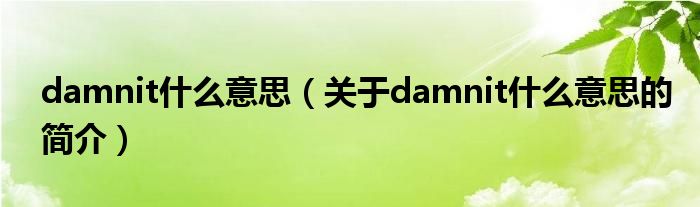 damnit什么意思（關于damnit什么意思的簡介）