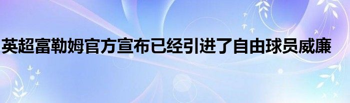 英超富勒姆官方宣布已經(jīng)引進了自由球員威廉