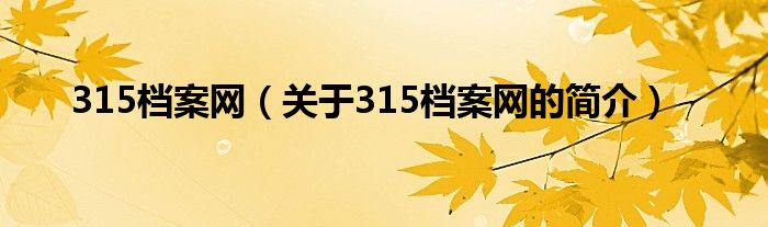 315檔案網(wǎng)（關(guān)于315檔案網(wǎng)的簡(jiǎn)介）