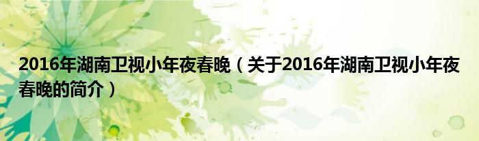 2016年湖南衛(wèi)視小年夜春晚（關于2016年湖南衛(wèi)視小年夜春晚的簡介）