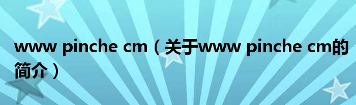 www pinche cm（關(guān)于www pinche cm的簡(jiǎn)介）