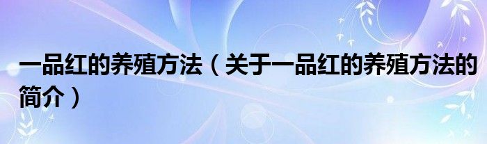 一品紅的養(yǎng)殖方法（關(guān)于一品紅的養(yǎng)殖方法的簡介）