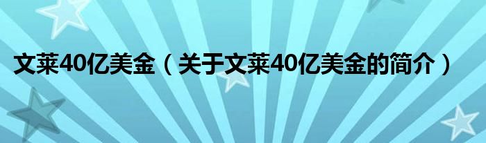 文萊40億美金（關于文萊40億美金的簡介）