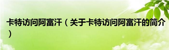 卡特訪(fǎng)問(wèn)阿富汗（關(guān)于卡特訪(fǎng)問(wèn)阿富汗的簡(jiǎn)介）