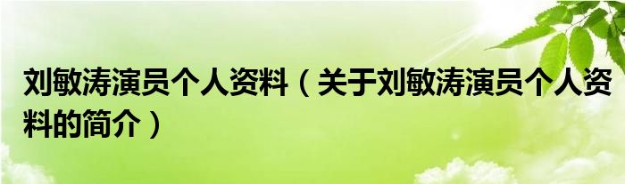 劉敏濤演員個人資料（關于劉敏濤演員個人資料的簡介）