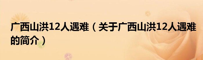 廣西山洪12人遇難（關(guān)于廣西山洪12人遇難的簡介）